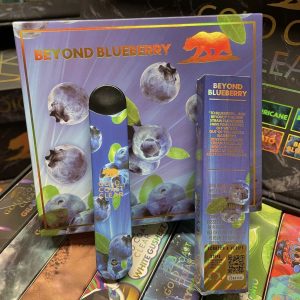 GOLD COAST BEYOND BLUEBERRY DISPOSABLE